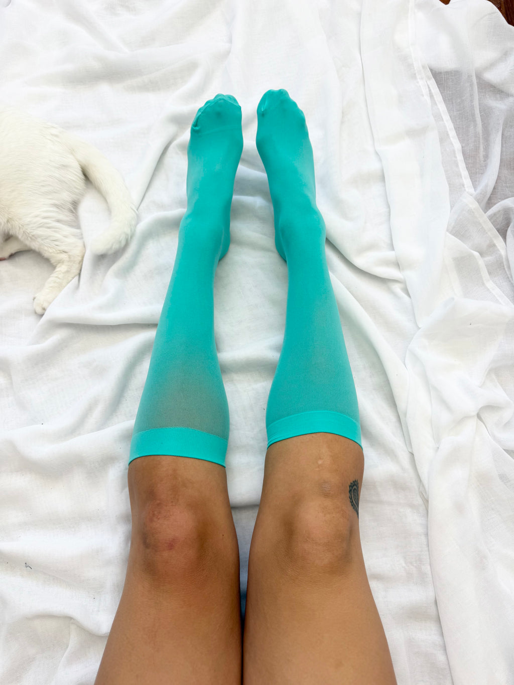 ✿ aqua sheer knee high socks •