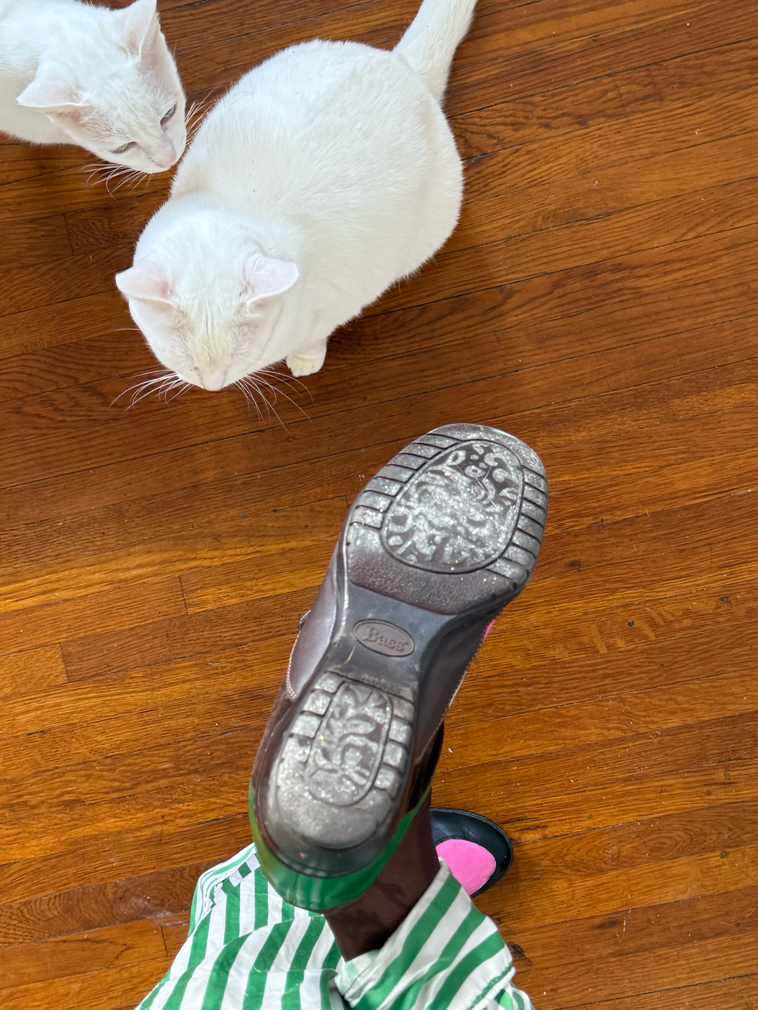 hand painted flower loafers (size 8)