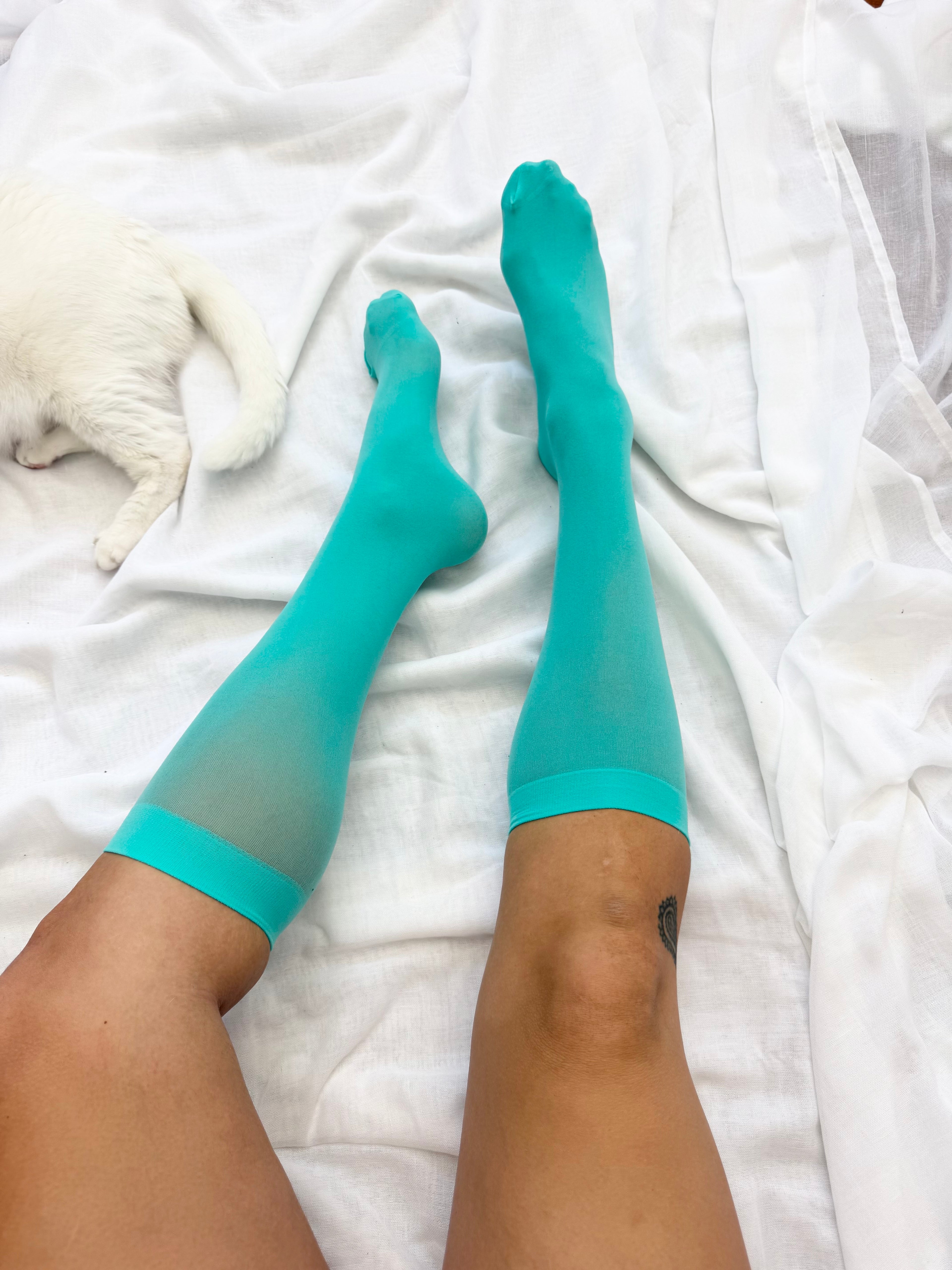 ✿ aqua sheer knee high socks •
