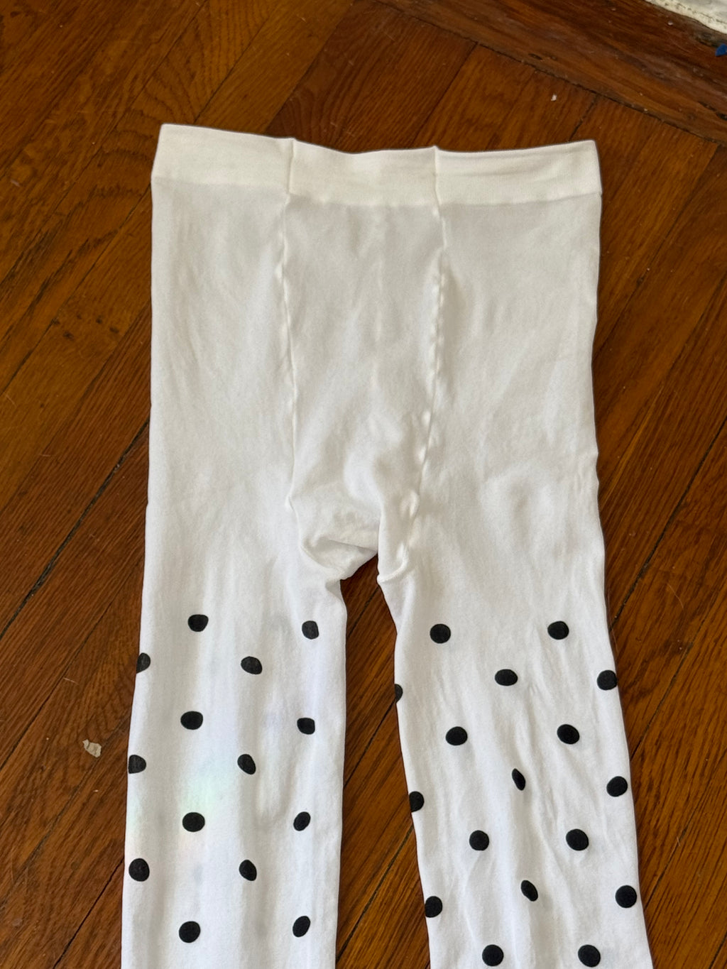 𓆩♡𓆪 polka dot sheer tights  𓆩♡𓆪 ⋆