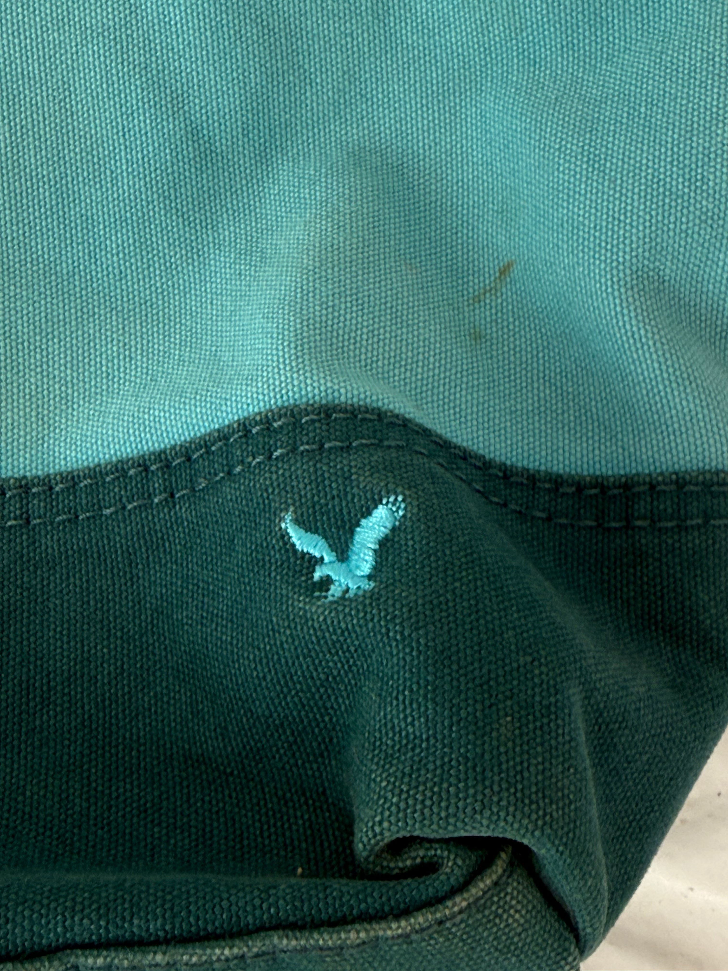 american eagle colorblock canvas tote