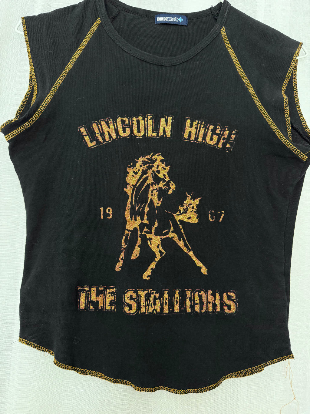 ✦ vintage lincoln high stallions baby tee ✦