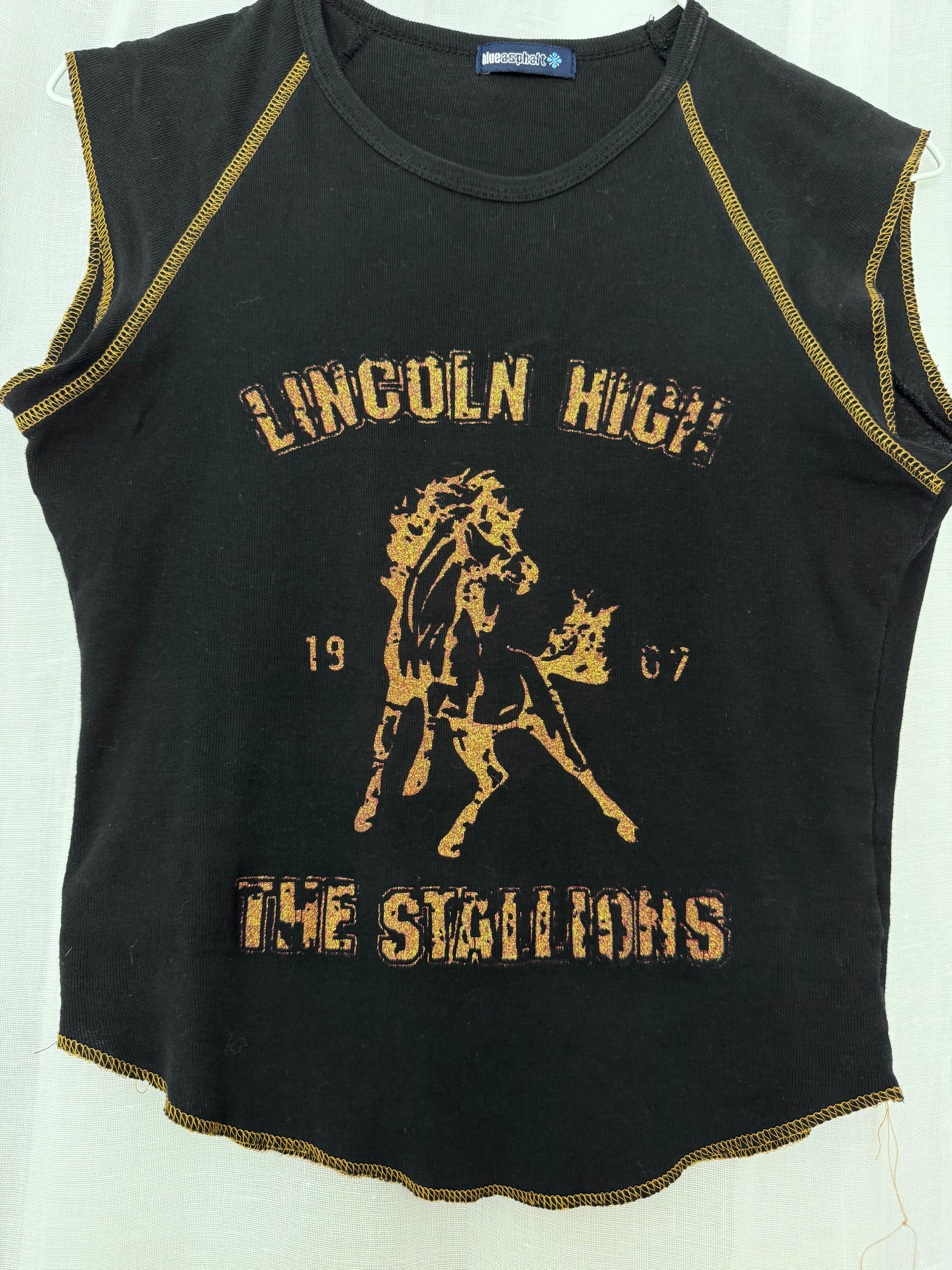 ✦ vintage lincoln high stallions baby tee ✦